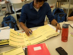 De Leidse Examentraining